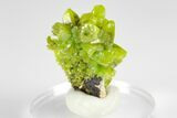 Apple-Green Pyromorphite Crystal Cluster - China #179714-2